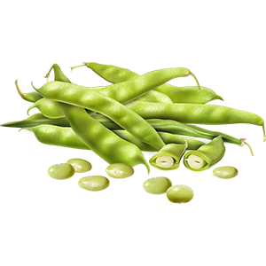 Beans