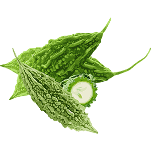 Bitter Gourd