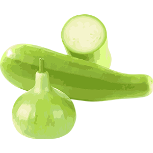 Bottle Gourd