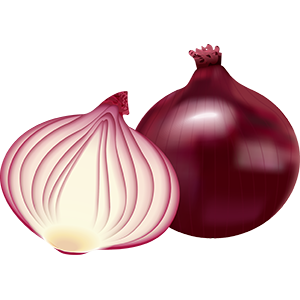 Onion